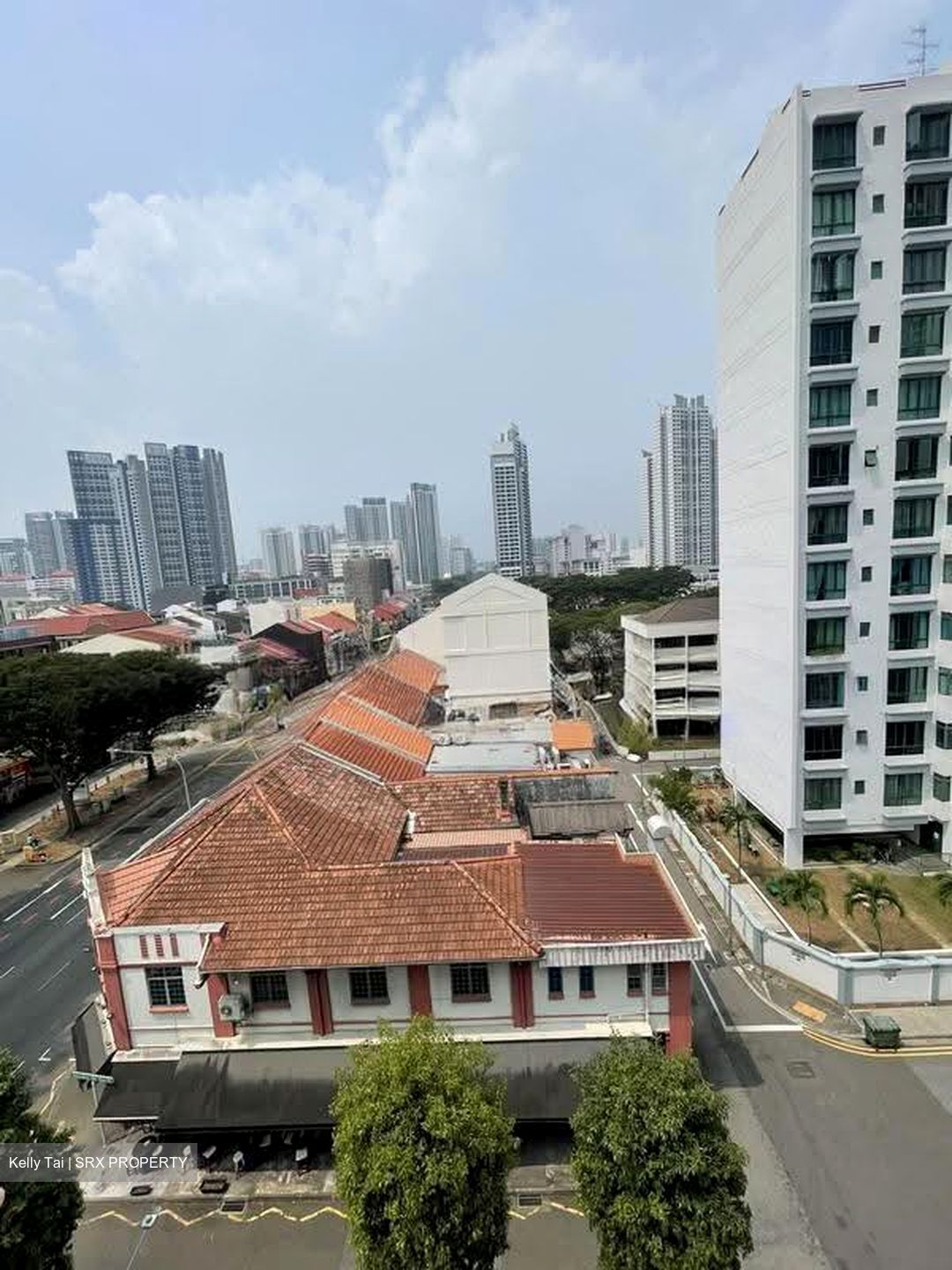 Serangoon Road (D8), Shop House #625529831